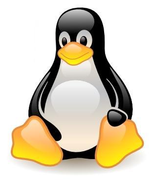 Создана обработка для терминалов сбора данных CipherLab серии 8ххх под OC Linux.